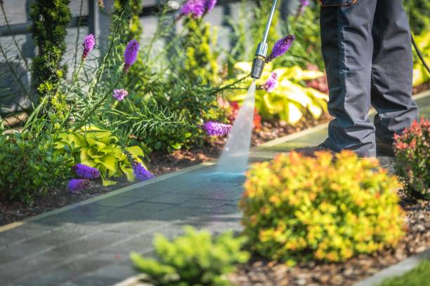 Best House Exterior Washing  in Frazee, MN