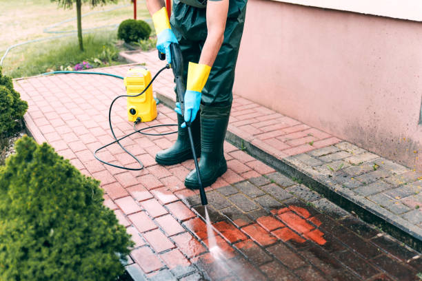 Best Solar Panel Cleaning  in Frazee, MN
