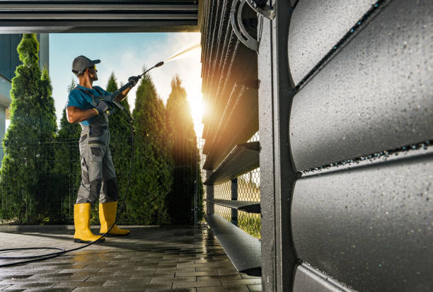 Best Building Exterior Washing  in Frazee, MN
